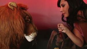 Brazzers: Exploring the Wild Side of Funhouses